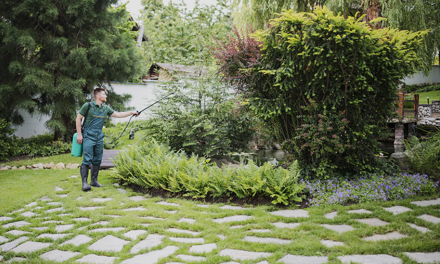 Pest Control & Sanitization